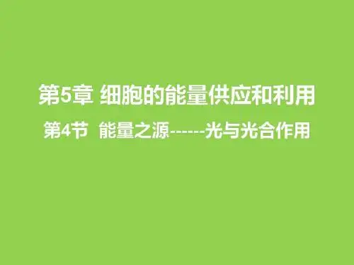 人教版高一生物必修一教学课件《5.4 捕获光能的色素和结构》 (共37张PPT)