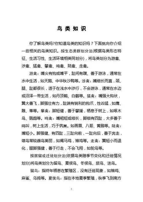 鸟类知识