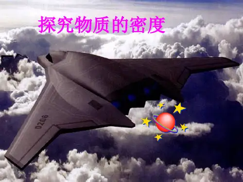 初中物理八上 5.2  探究物质的密度  课件 _6