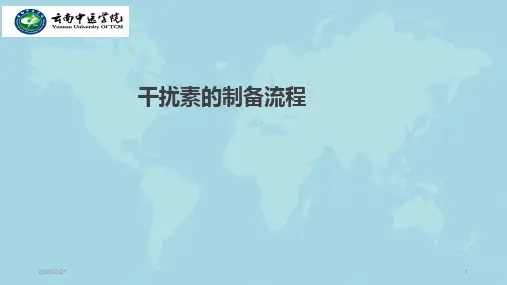 干扰素制备的工艺流程PPT课件