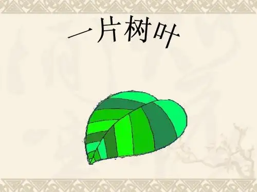 《一片树叶》课件