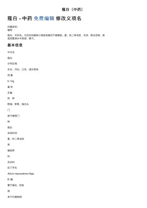 薤白（中药）