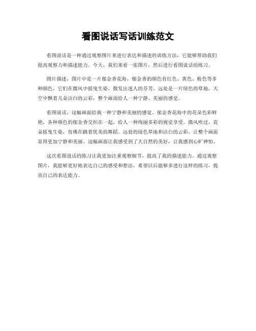 看图说话写话训练范文