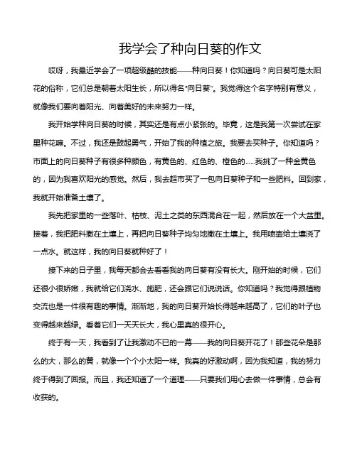 我学会了种向日葵的作文