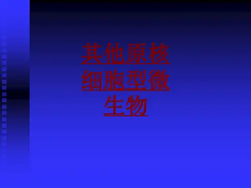 医学其他原核细胞型微生物PPT培训课件
