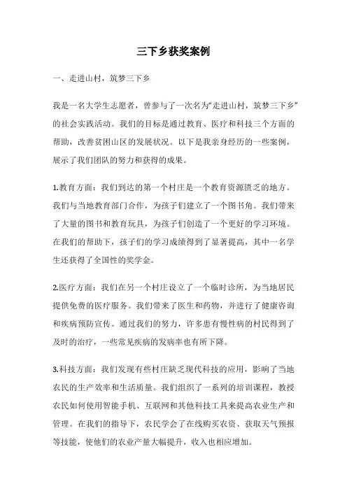 三下乡获奖案例