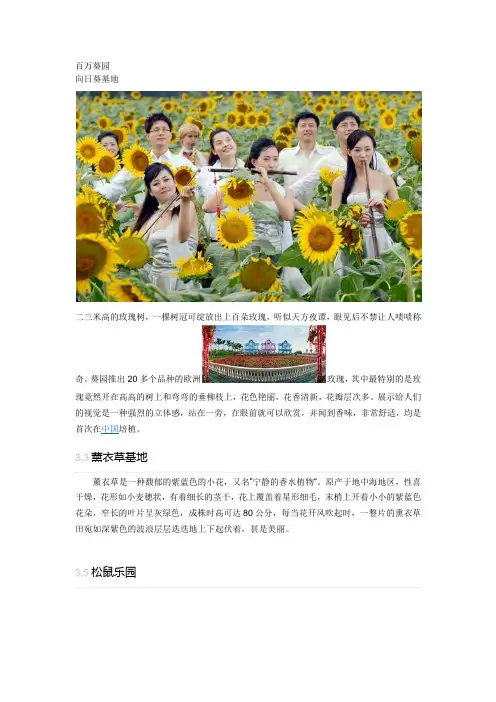 百万葵园