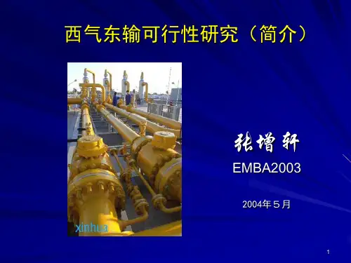 西气东输可行性研究(简介)