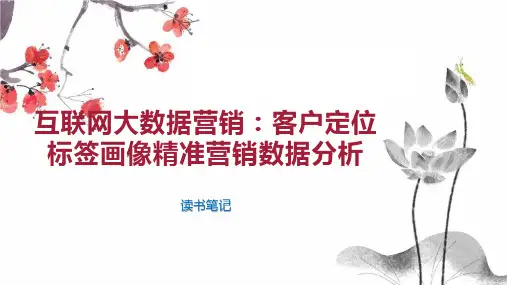 互联网大数据营销：客户定位标签画像精准营销数据分析
