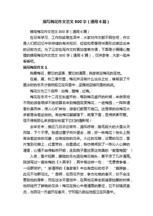 描写梅花作文范文800字（通用6篇）