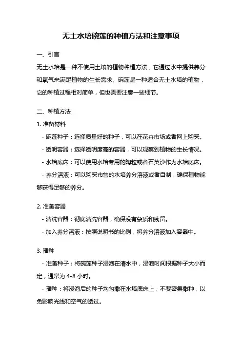 无土水培碗莲的种植方法和注意事项
