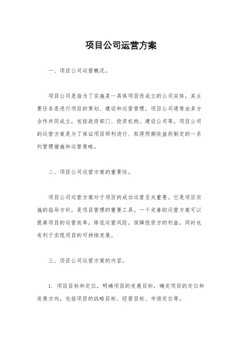 项目公司运营方案