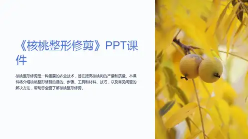 《核桃整形修剪》课件
