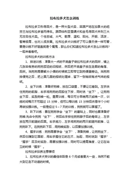 拉布拉多犬怎么训练