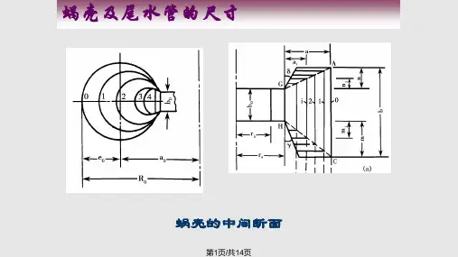 蜗壳及尾水管尺寸PPT课件