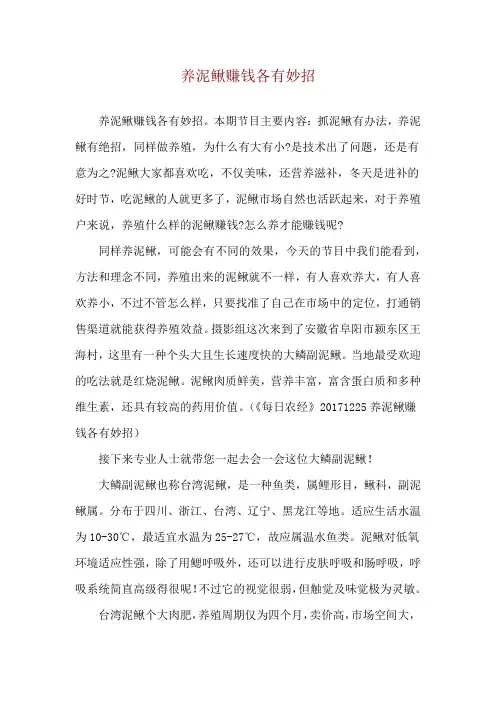 养泥鳅赚钱各有妙招