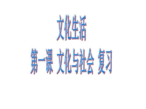 文化生活第一课一轮复习课件