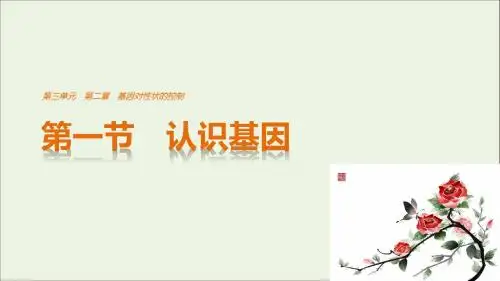 高中生物3.2.1认识基因课件中图版必修2