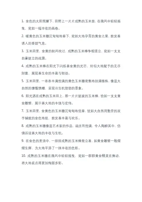 描写玉米成熟的优美句子