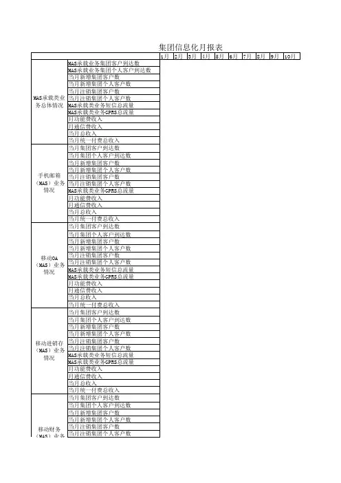集团信息化月统计报表