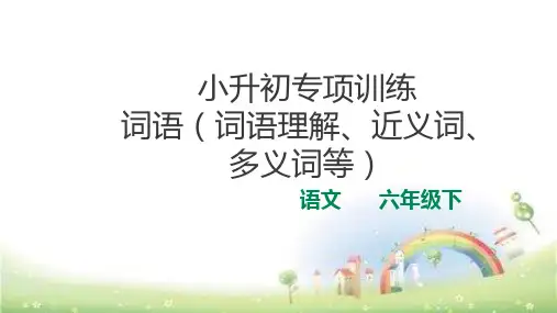 小升初总复习词语(近义词、理解词义等 )专项训练课件 精品 - 副本