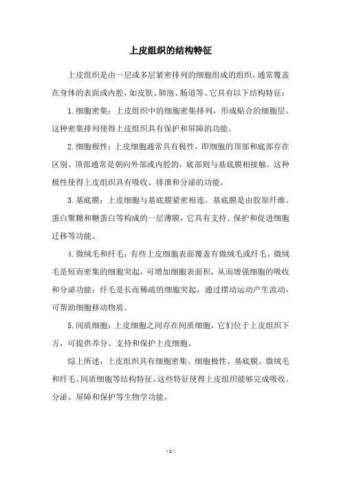 上皮组织的结构特征