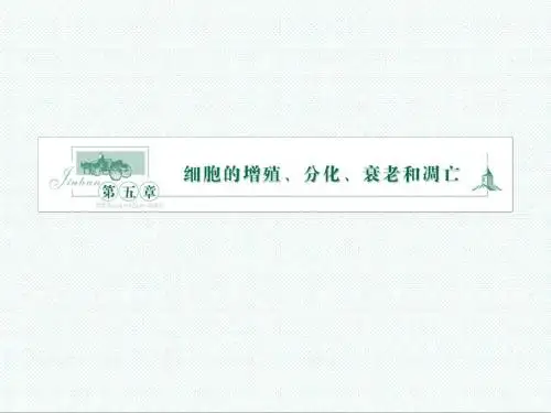 高中生物课件-苏教版生物必修1第一节《细胞增殖》课件之二 最新