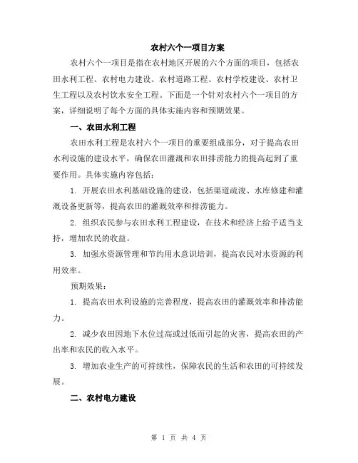 农村六个一项目方案