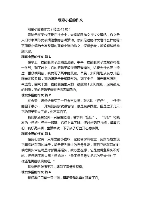 观察小猫的作文（精选43篇）