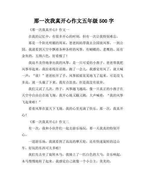 那一次我真开心作文五年级500字