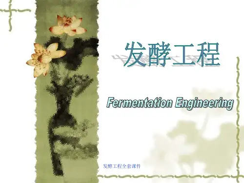 发酵工程全套课件