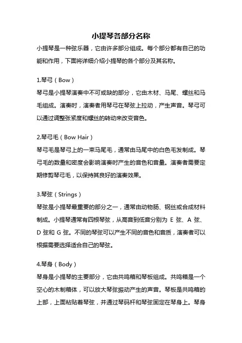 小提琴各部分名称