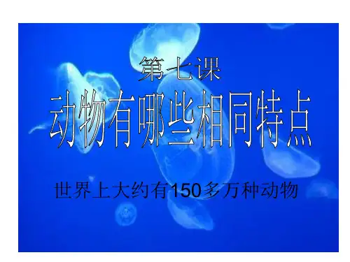 教科版三年级上册科学《动物有哪些相同特点》课件