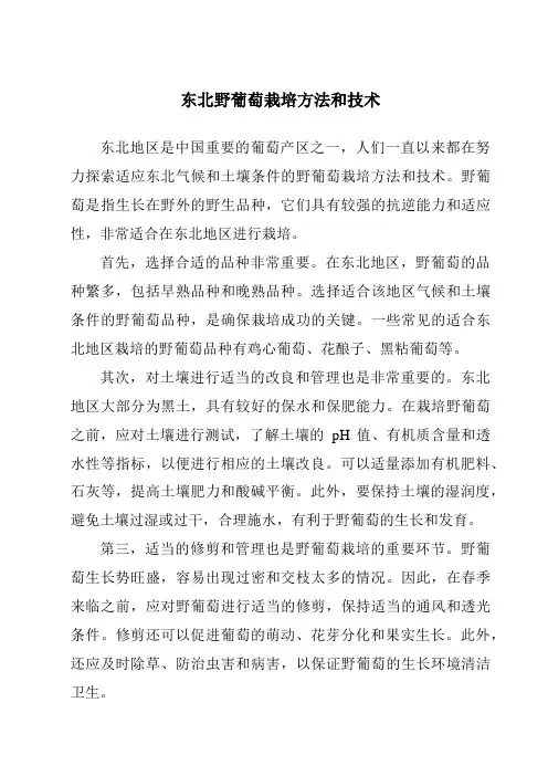 东北野葡萄栽培方法和技术