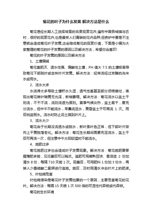 菊花的叶子为什么发黄解决方法是什么