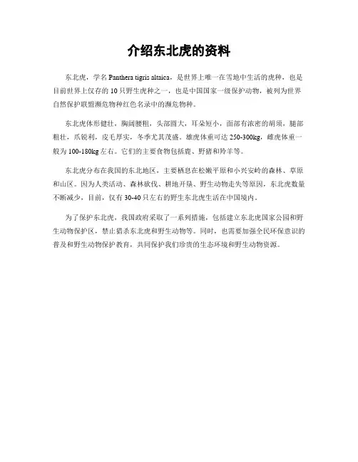 介绍东北虎的资料