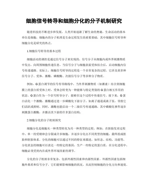细胞信号转导和细胞分化的分子机制研究
