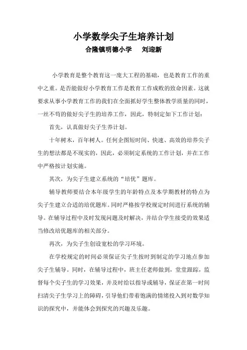 小学数学二年级尖子生培养计划
