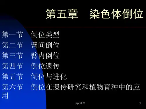第五章  染色体倒位  ppt课件