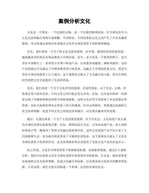 案例分析文化