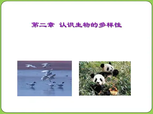 认识生物的多样性(共26张PPT)