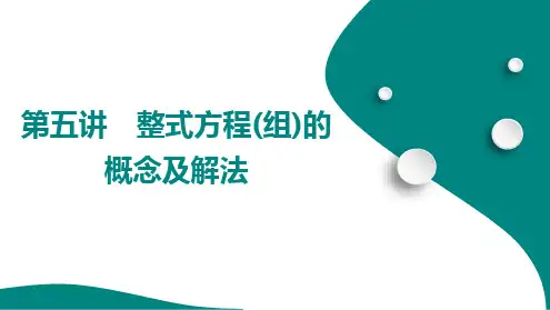 第二单元 第五讲 整式方程(组)的概念及解法 2025年九年级中考数学总复习人教版(山东)