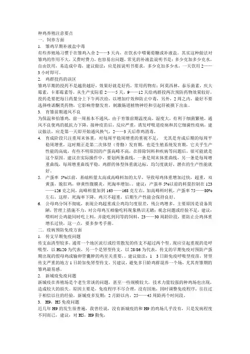 种鸡养殖注意要点