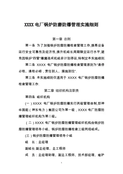 发电厂锅炉防磨防爆管理实施细则
