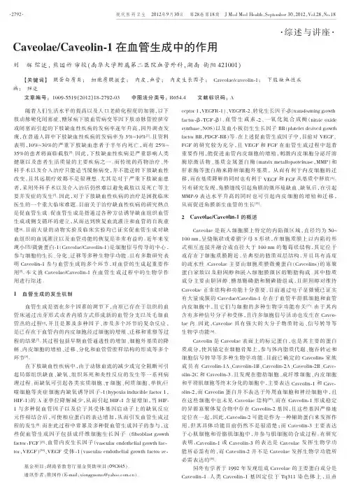 CaveolaeCaveolin-1在血管生成中的作用