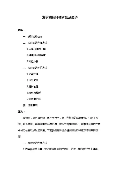 发财树的种植方法及养护