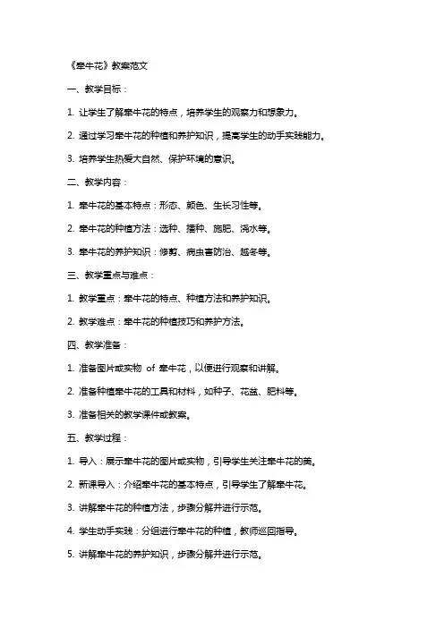 《牵牛花》教案范文
