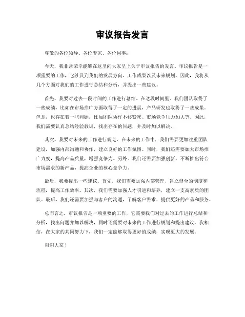 审议报告发言