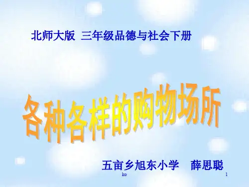 【各种各样的购物场所(北师大版)三年级品德与社会下册PPT培训课件.ppt