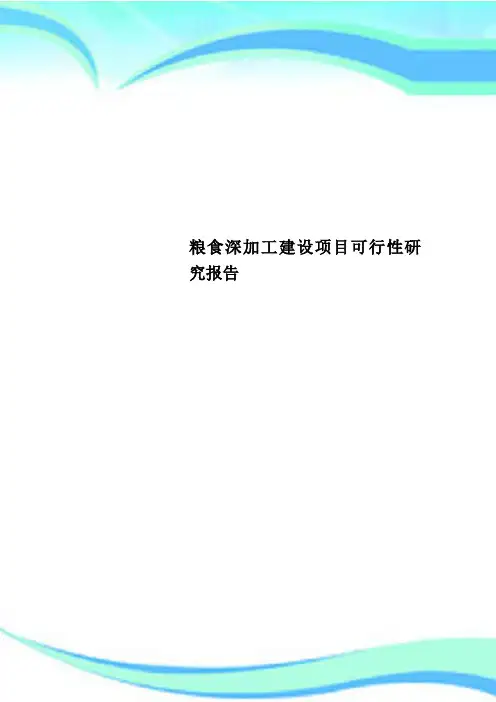 粮食深加工建设项目可行性研究报告